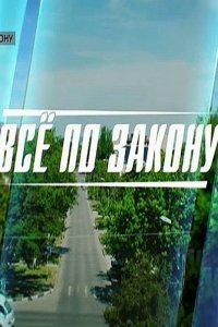 Страж закона / Все по закону (2016) SATRip