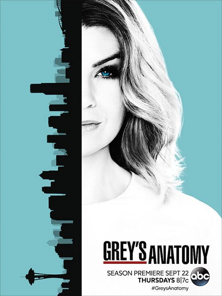 сериал Анатомия Грей / Анатомия страсти (13 сезон) / Greys Anatomy