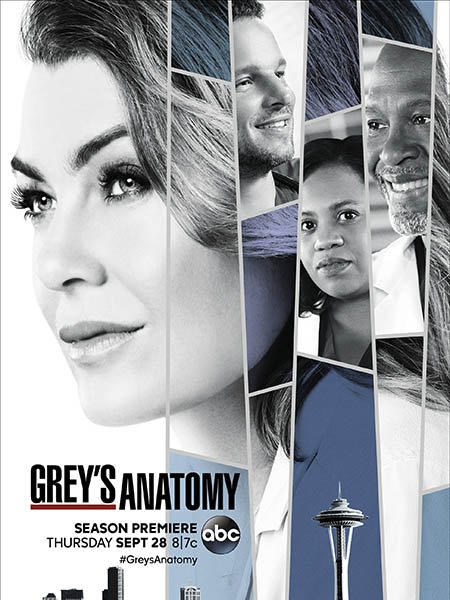 сериал Анатомия Грей / Анатомия страсти (14 сезон) / Greys Anatomy