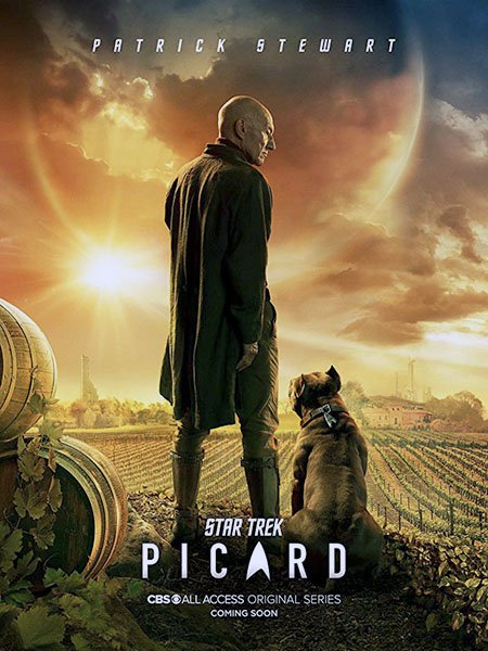 Звёздный путь: Пикар (1 сезон) / Star Trek: Picard (2020) WEB-DLRip