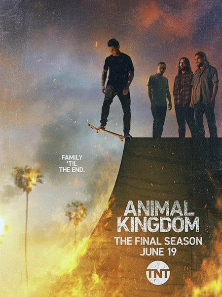 сериал По волчьим законам (6 сезон) / Animal Kingdom