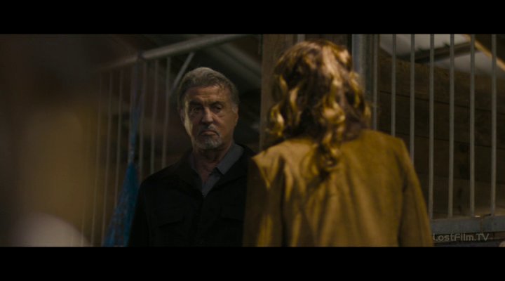 Нажмите для просмотра в оригинальном размере