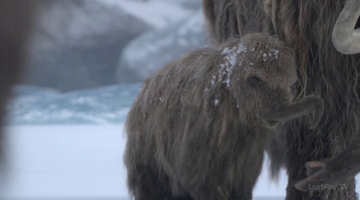 Нажмите для просмотра в оригинальном размере